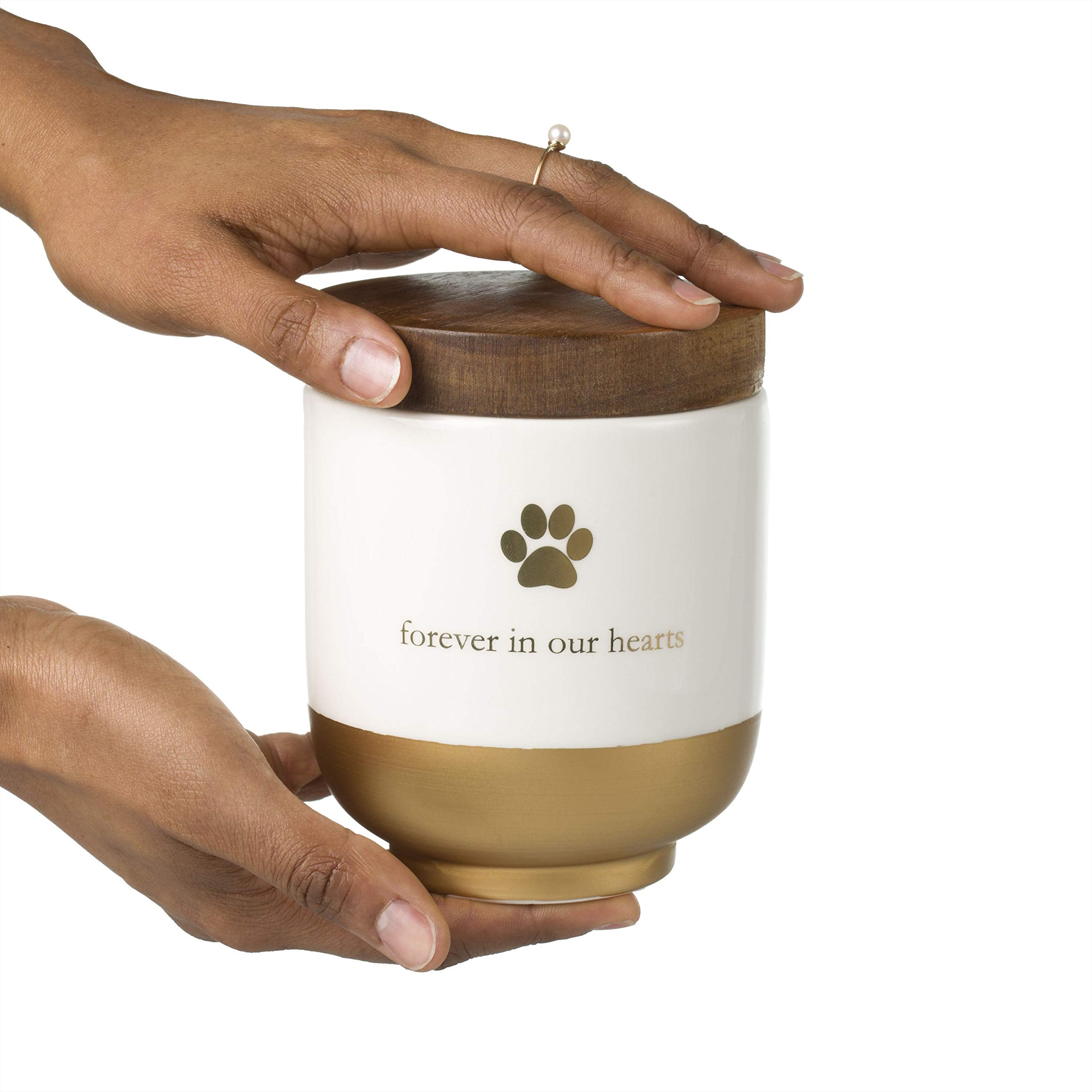 Pearhead Pet Ceramic Forever In Our Hearts Urn, Pet Memorial, Dog Or Cat Keepsake Urn, Rainbow Bridge, Gold